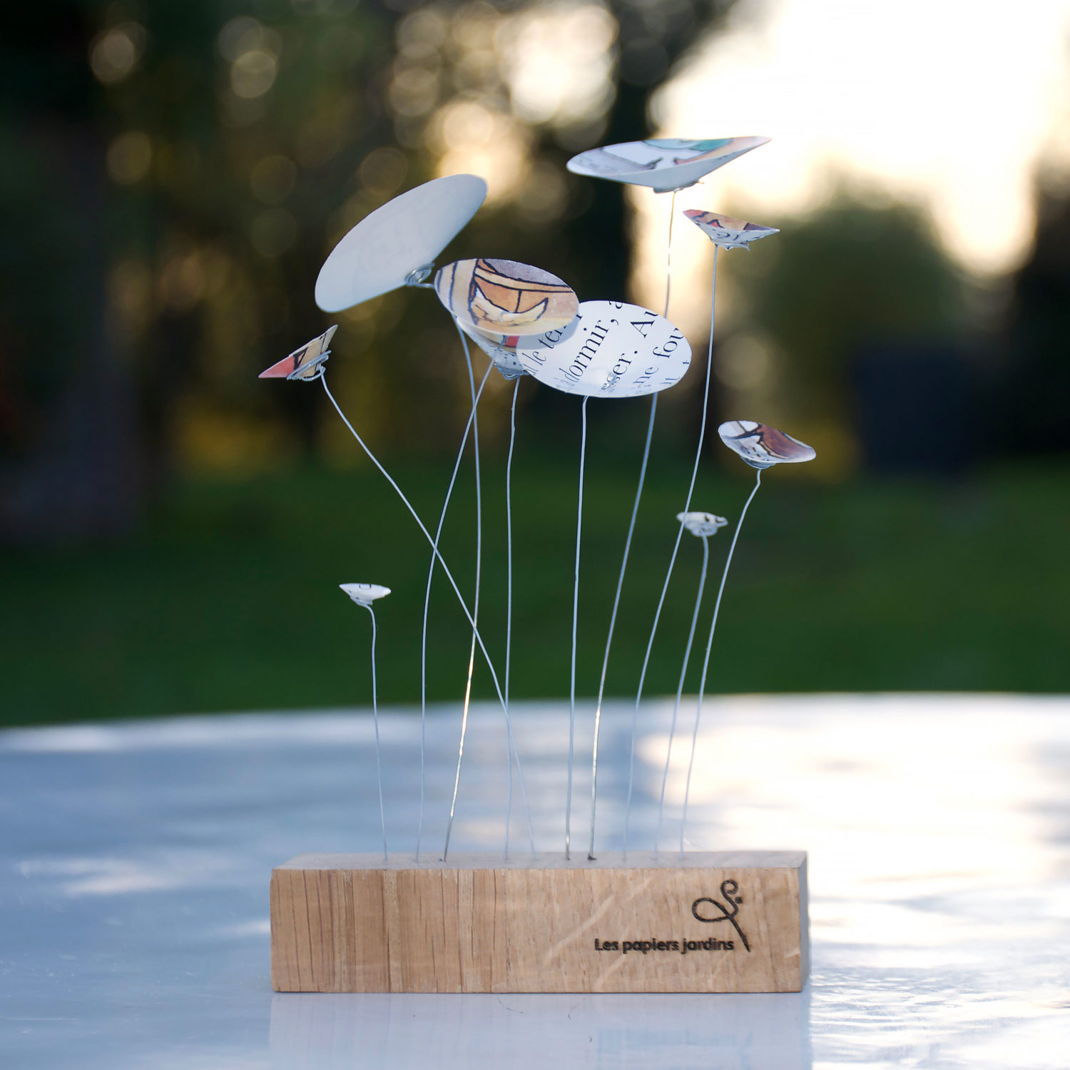 l'allée des chatons - les papiers jardins