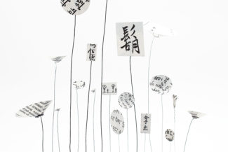 Jardin des civilisations - les papiers jardins