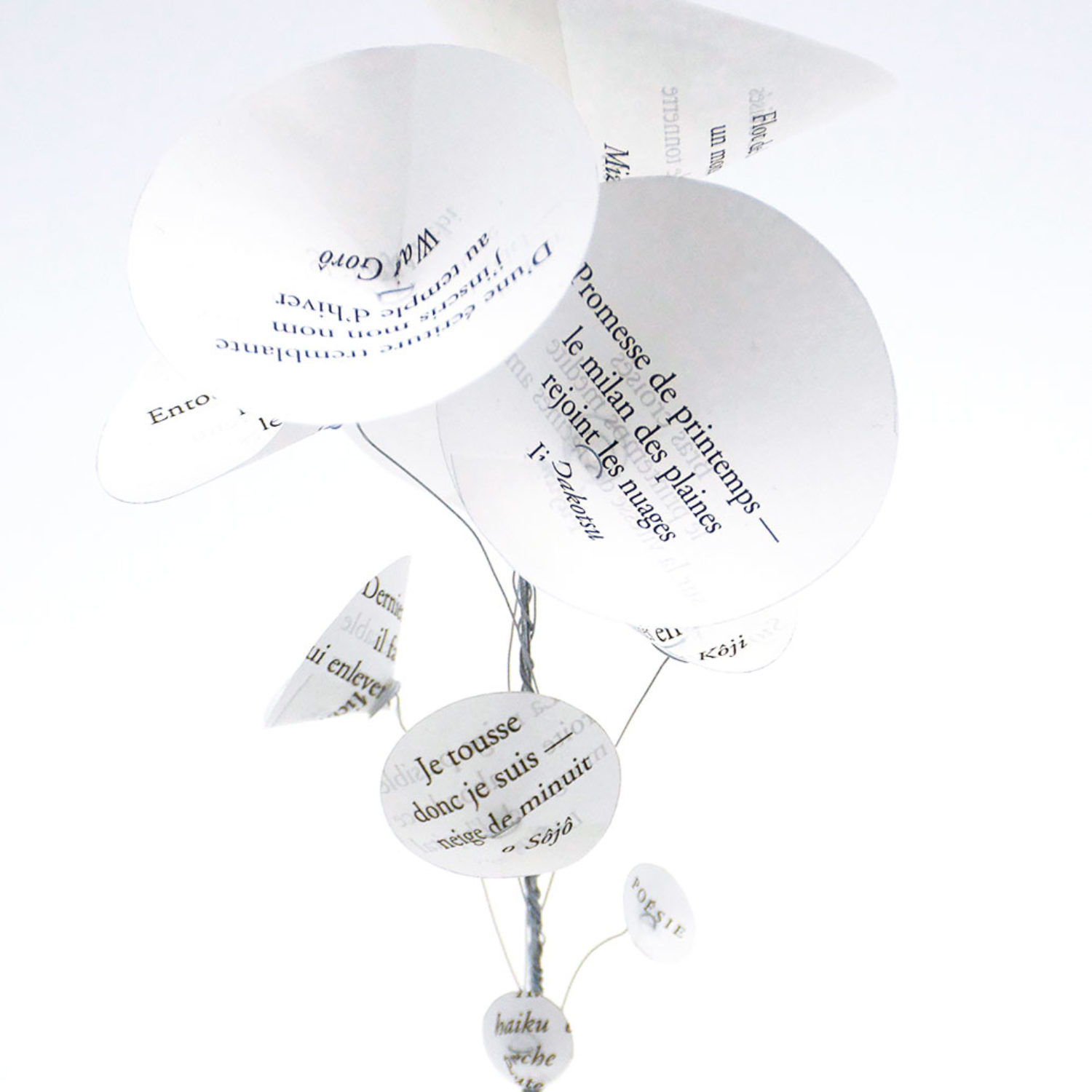 Fleurs d'Aïkus - les papiers jardins