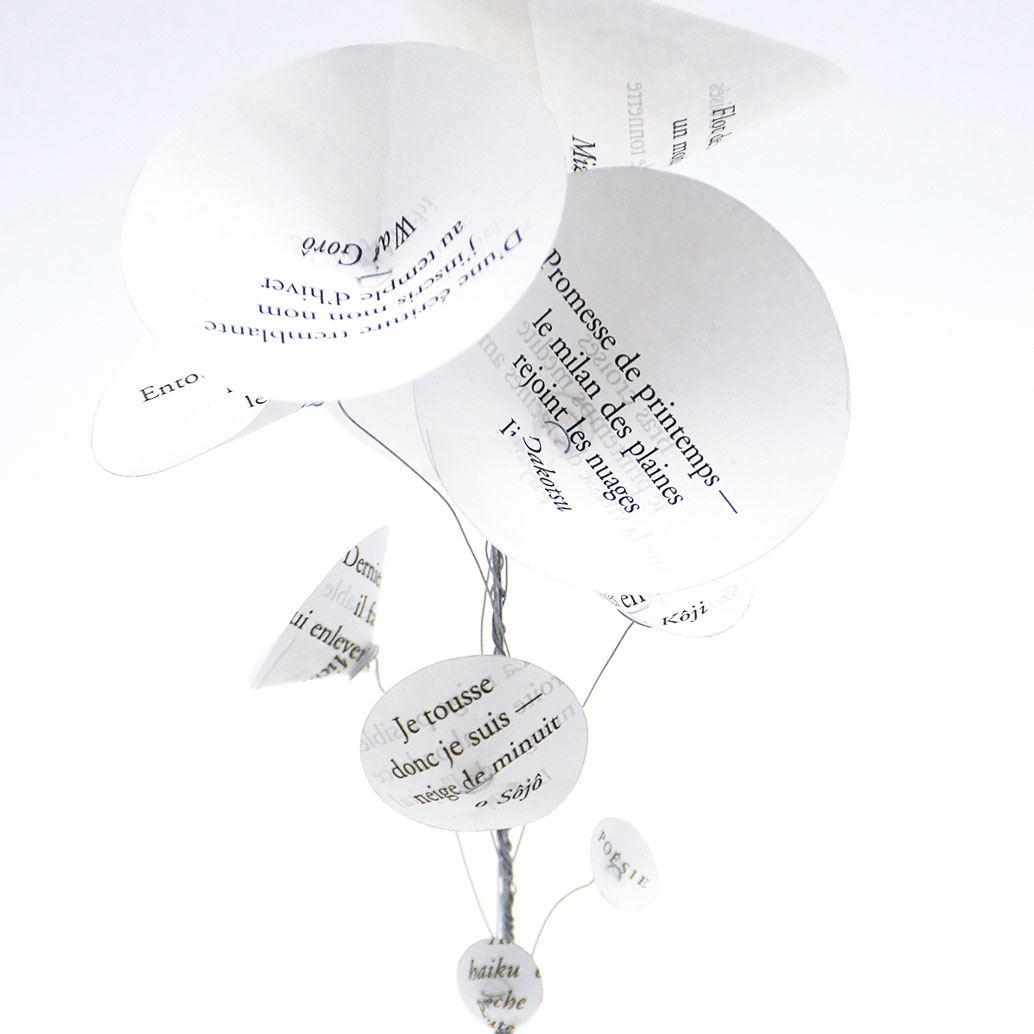 Fleurs d'Aïkus - les papiers jardins