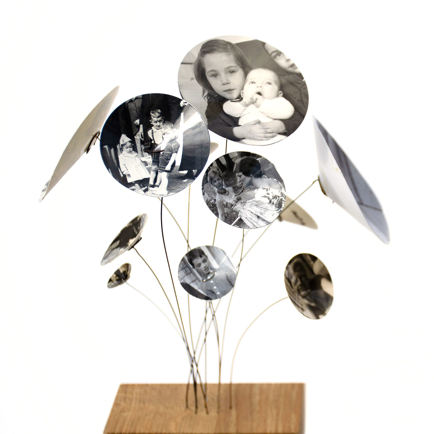 Le jardin des souvenirs