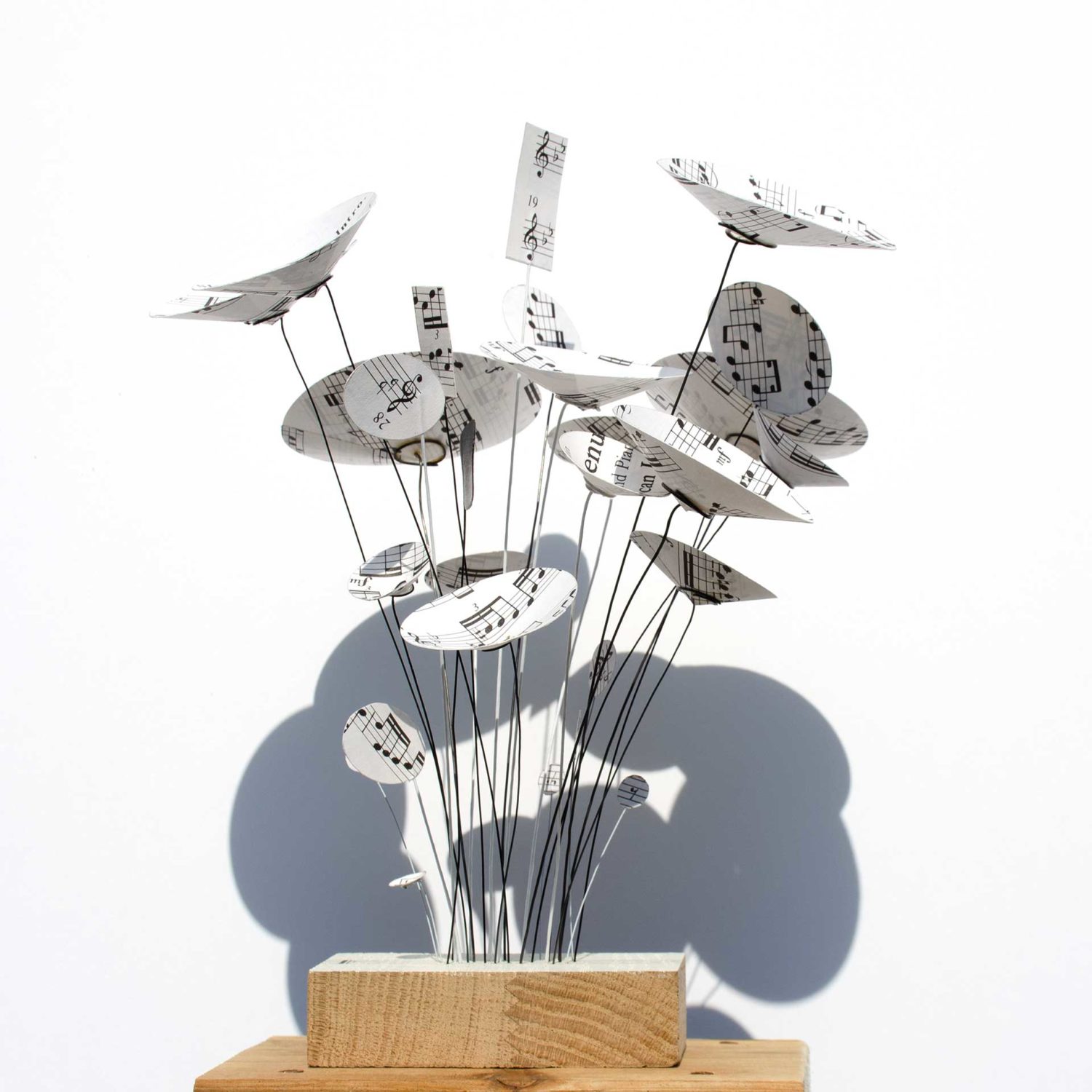 la-cle-des-champs-les-papiers-jardins